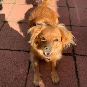 Meet your Posher, Jay